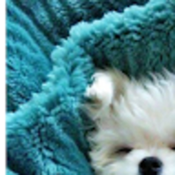 Meet your Posher, Hellkitty - Picture 1 of 1